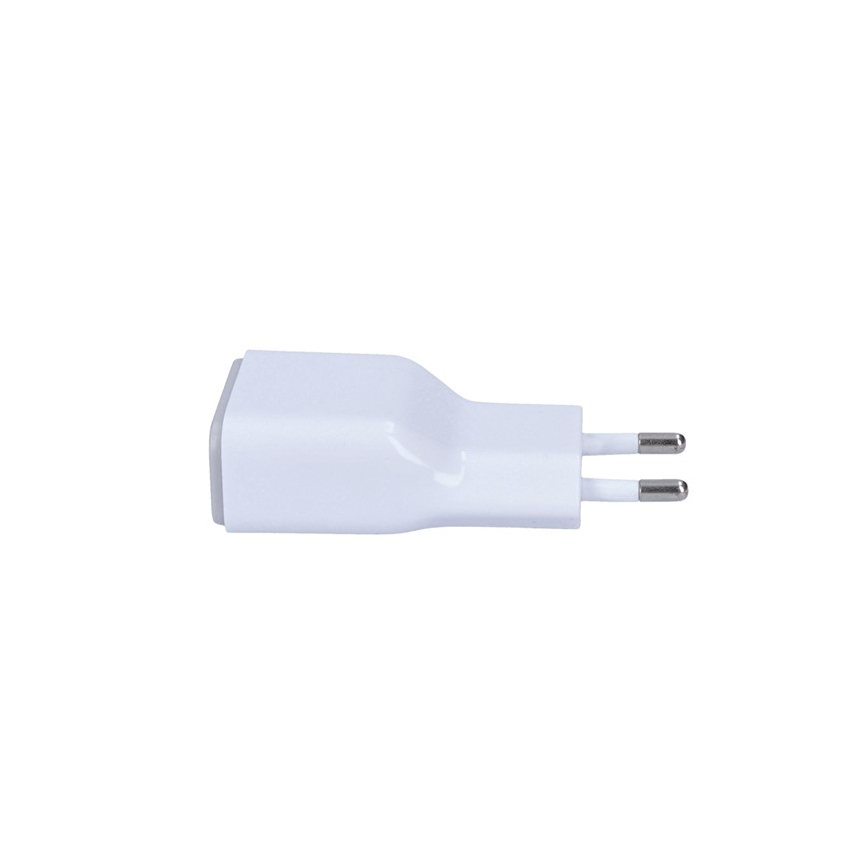 USB Polnilni adapter 1xUSB/230V