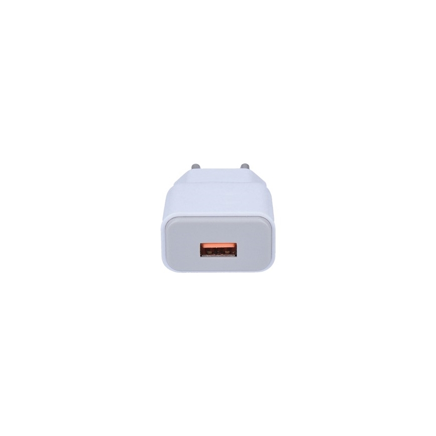 USB Polnilni adapter 1xUSB/230V