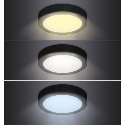 LED Stropna svetilka LED/12W/230V 3000/4000/6000K črna okrogla