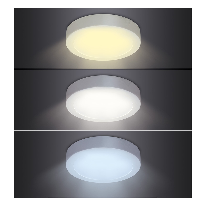 LED stropna svetilka 18W/230V 3000/4000/6000K, premer 22,5 cm, bela