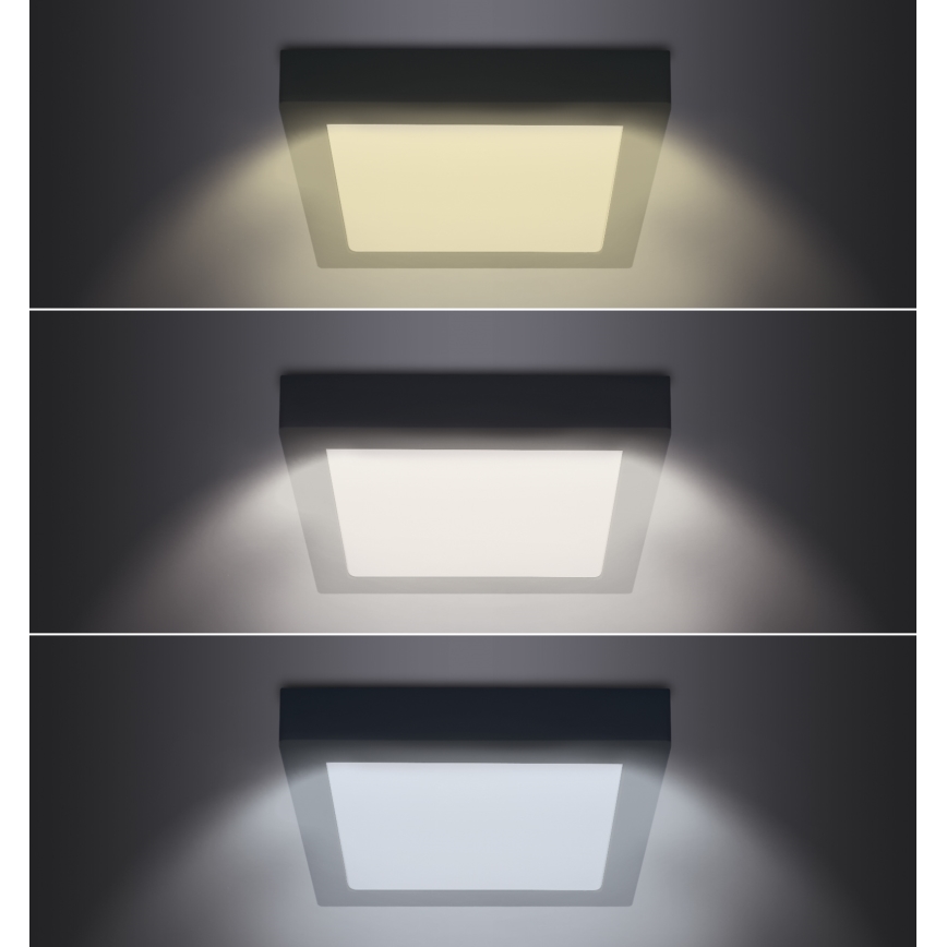 LED Stropna svetilka LED/18W/230V 3000/4000/6000K črna kotna