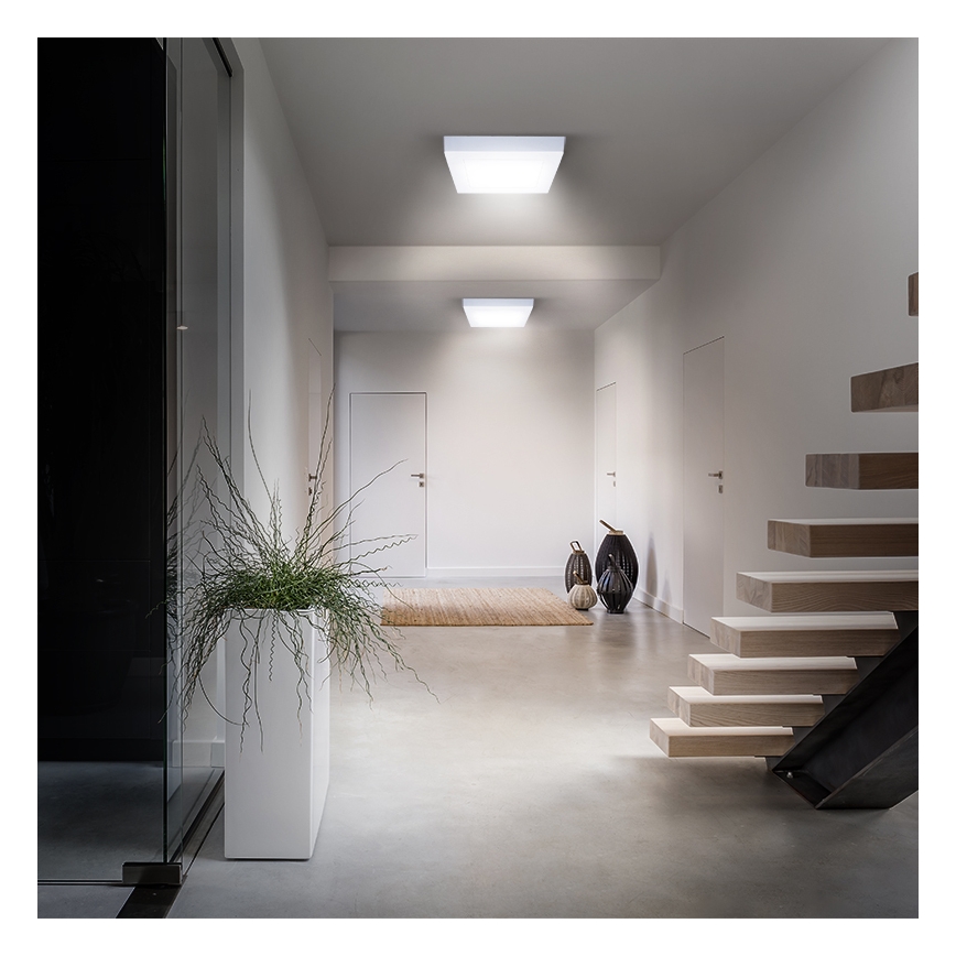 LED stropna svetilka LED/18W/230V 3000/4000/6000K 22,5x22,5 cm bela