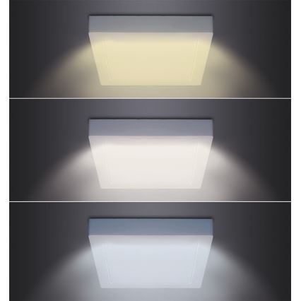 LED stropna svetilka LED/18W/230V 3000/4000/6000K 22,5x22,5 cm bela