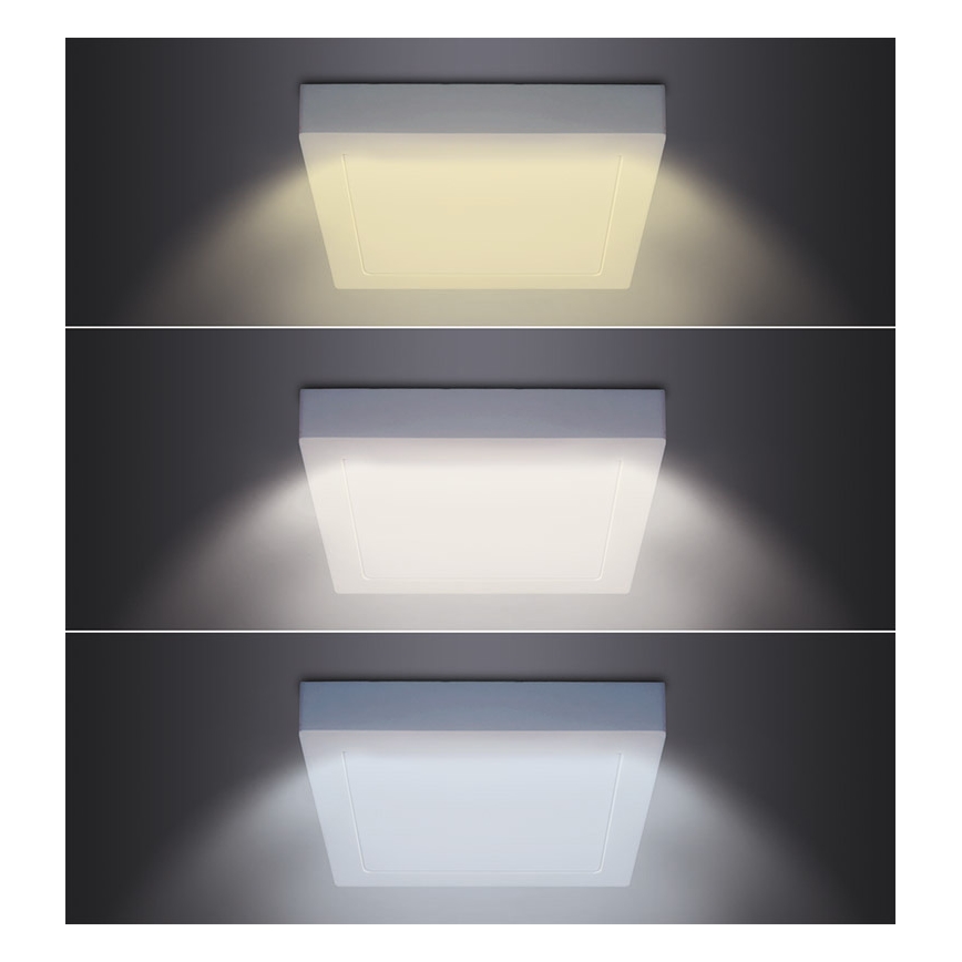 LED stropna svetilka LED/18W/230V 3000/4000/6000K 22,5x22,5 cm bela