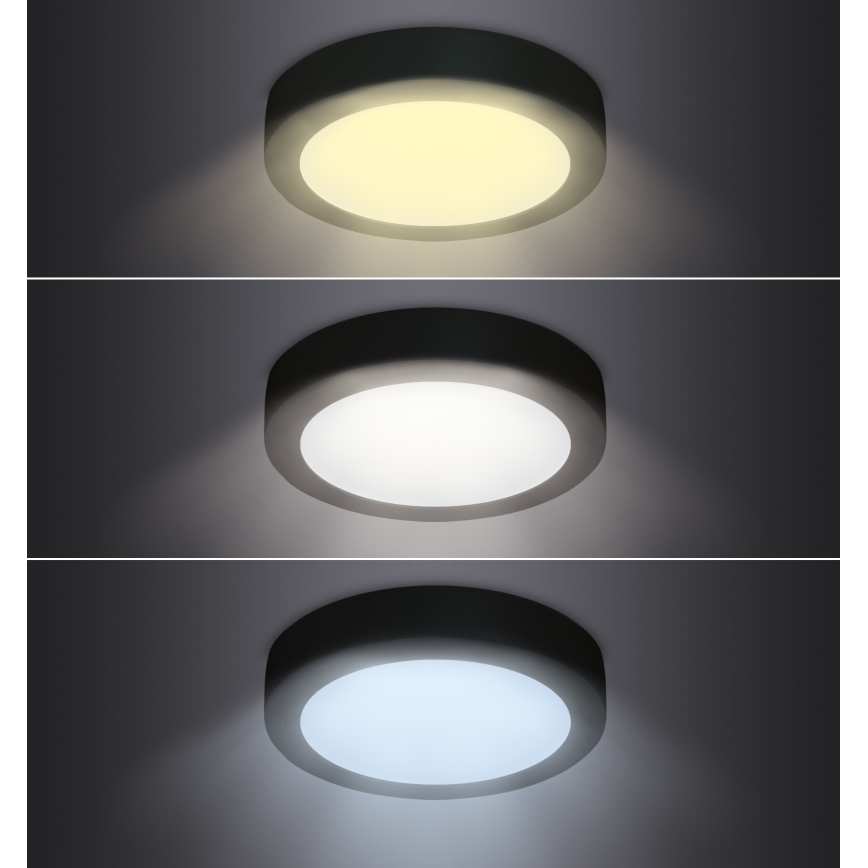 LED Stropna svetilka LED/24W/230V 3000/4000/6000K črna okrogla
