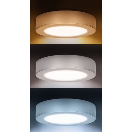 LED površinski/vgradni panel 2 v 1 LED/12W/230V 3000/4000/6000K, premer 17 cm, IP54, srebrn