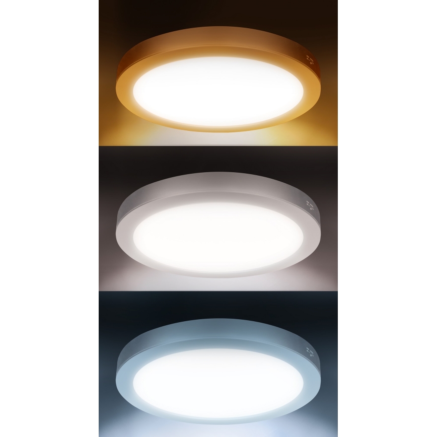 LED panel 2 v 1 za površinsko ali vgradno montažo 18W/230V 3000/4000/6000K premer 22,5 cm IP54 srebrna