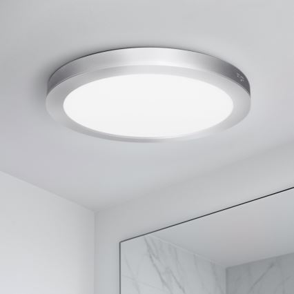 LED površinski/vgradni panel 2 v 1, 24 W/230 V, 3000/4000/6000 K, premer 30 cm, IP54, srebrna