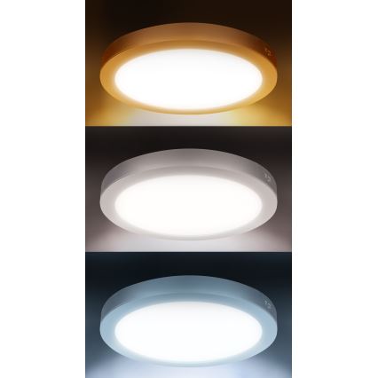 LED površinski/vgradni panel 2v1 24W/230V 3000/4000/6000K premer 30 cm IP54 bela