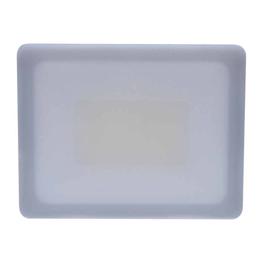 LED Zunanji reflektor LED/30W/230V 4000K IP65