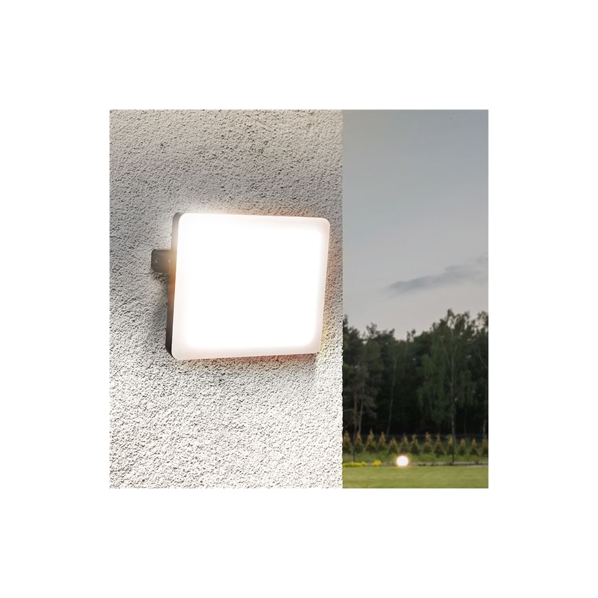 LED Zunanji reflektor LED/50W/230V 4000K IP65