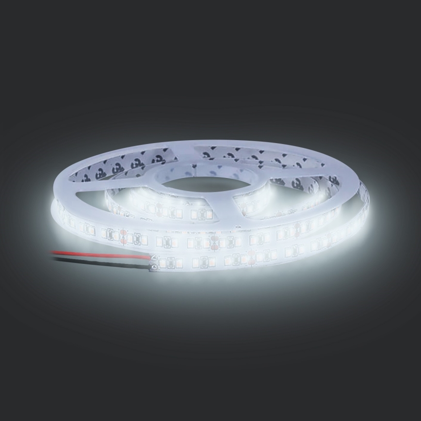 LED Trak LED/50W/12V 5m hladna bela