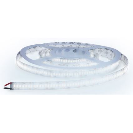 LED Trak LED/80W/12V 5m hladna bela