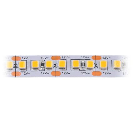 LED Trak LED/80W/12V 5m hladna bela