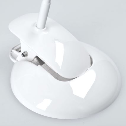LED Namizna svetilka zatemnitvena podstavek in sponka LED/5W/230V