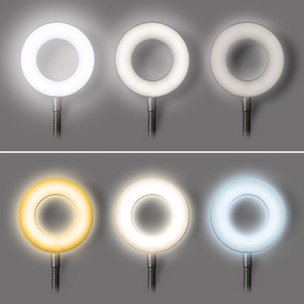 LED Zatemnitvena namizna svetilka s sponko LED/8W/230V 3000/4000/5000K črna