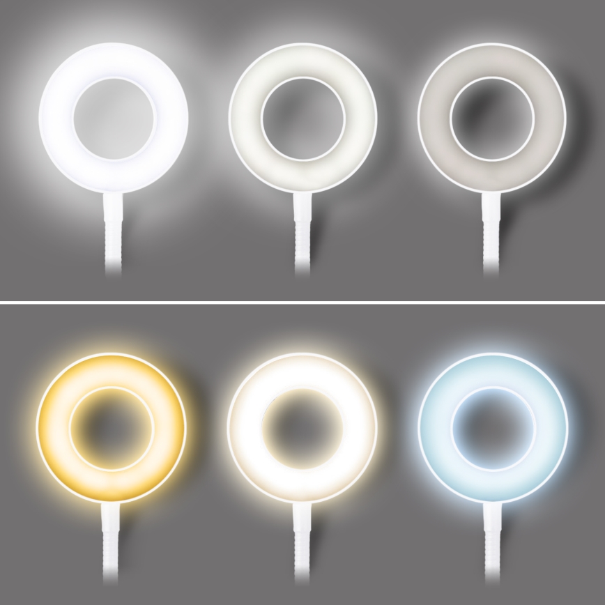 LED zatemnjevalna namizna svetilka s sponko LED/8W/230V 3000/4000/5000K bela