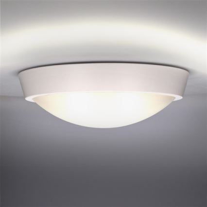 LED Zunanja stenska svetilka 1xLED/18W/230V  IP65