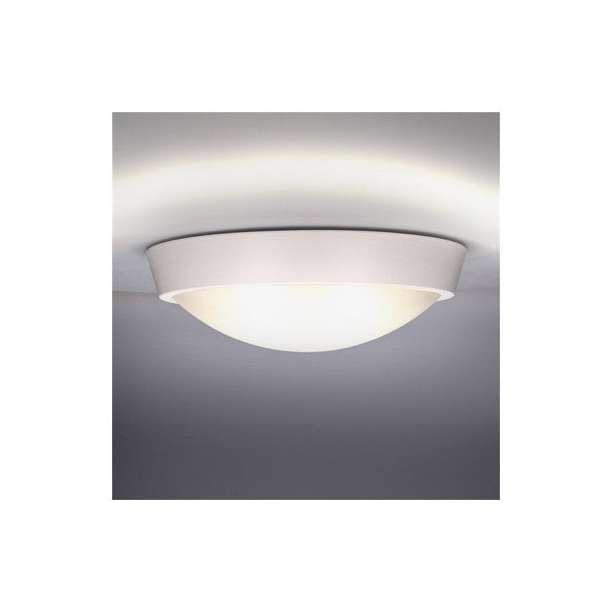 LED Zunanja stenska svetilka 1xLED/18W/230V  IP65