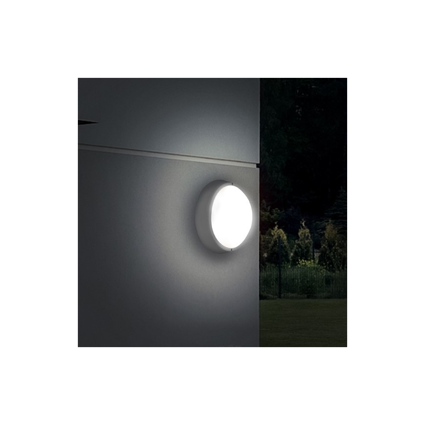 LED Zunanja stenska svetilka 1xLED/18W/230V  IP65