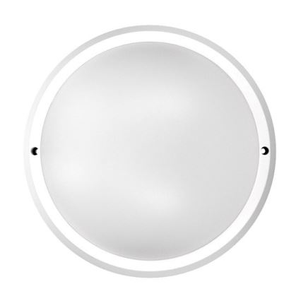 LED Zunanja stenska svetilka 1xLED/30W/230V  IP65