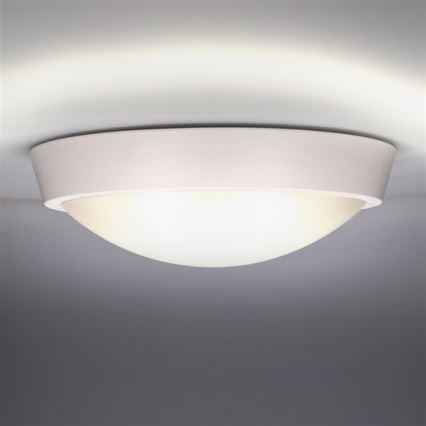 LED Zunanja stenska svetilka 1xLED/30W/230V  IP65