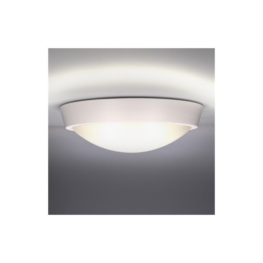 LED Zunanja stenska svetilka 1xLED/30W/230V  IP65