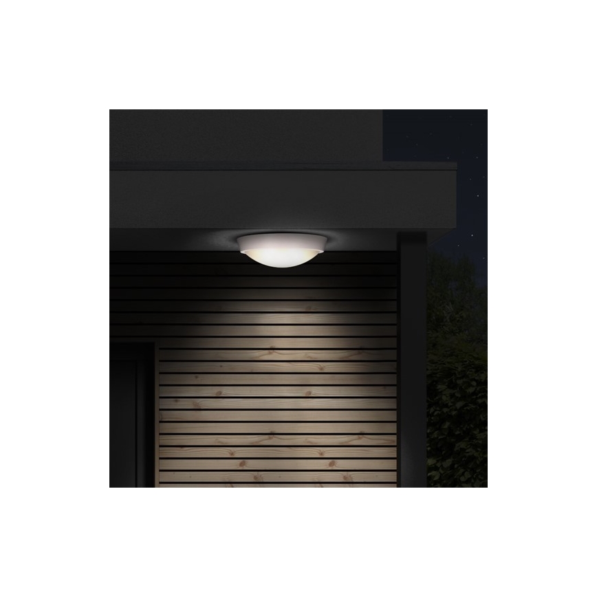 LED Zunanja stenska svetilka 1xLED/30W/230V  IP65