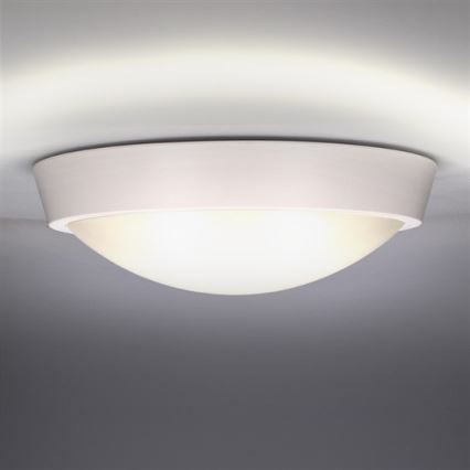 LED zunanja stropna svetilka, 30 W, 230 V, IP65