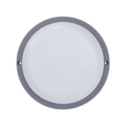 LED Zunanja stenska svetilka LED/13W/230V 4000K IP54 siva okrogla