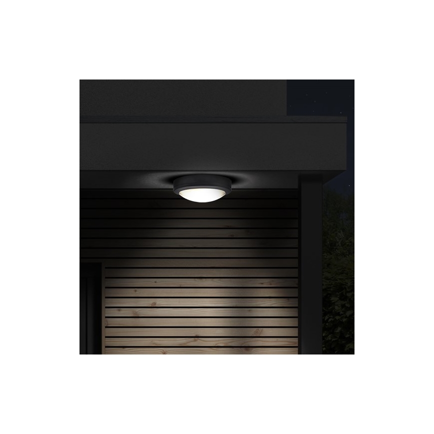 LED Zunanja stropna svetilka LED/13W/230V IP54 antracit