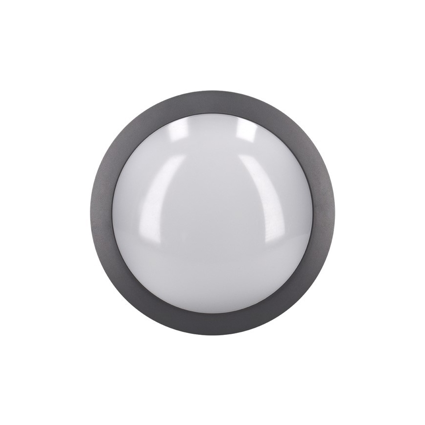 LED Zunanja stropna svetilka LED/13W/230V IP54 antracit