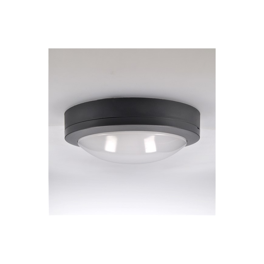 LED Zunanja stropna svetilka LED/13W/230V IP54 antracit