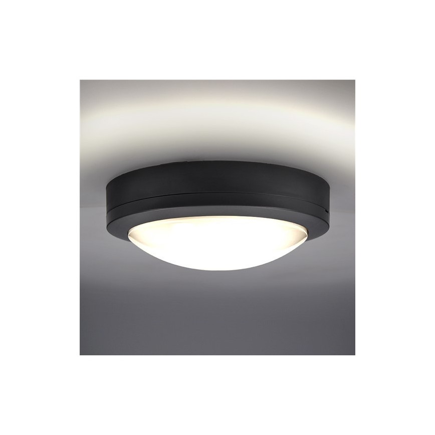 LED Zunanja stropna svetilka LED/13W/230V IP54 antracit