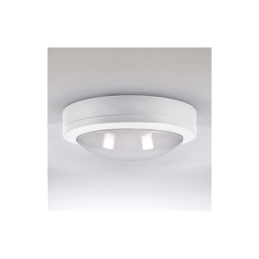 LED Zunanja stropna svetilka SIENA LED/13W/230V IP54 pr. 17 cm bela