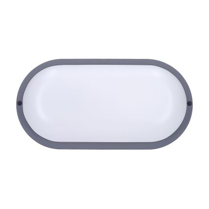 LED Zunanja stenska svetilka LED/20W/230V 4000K IP54 siva oval