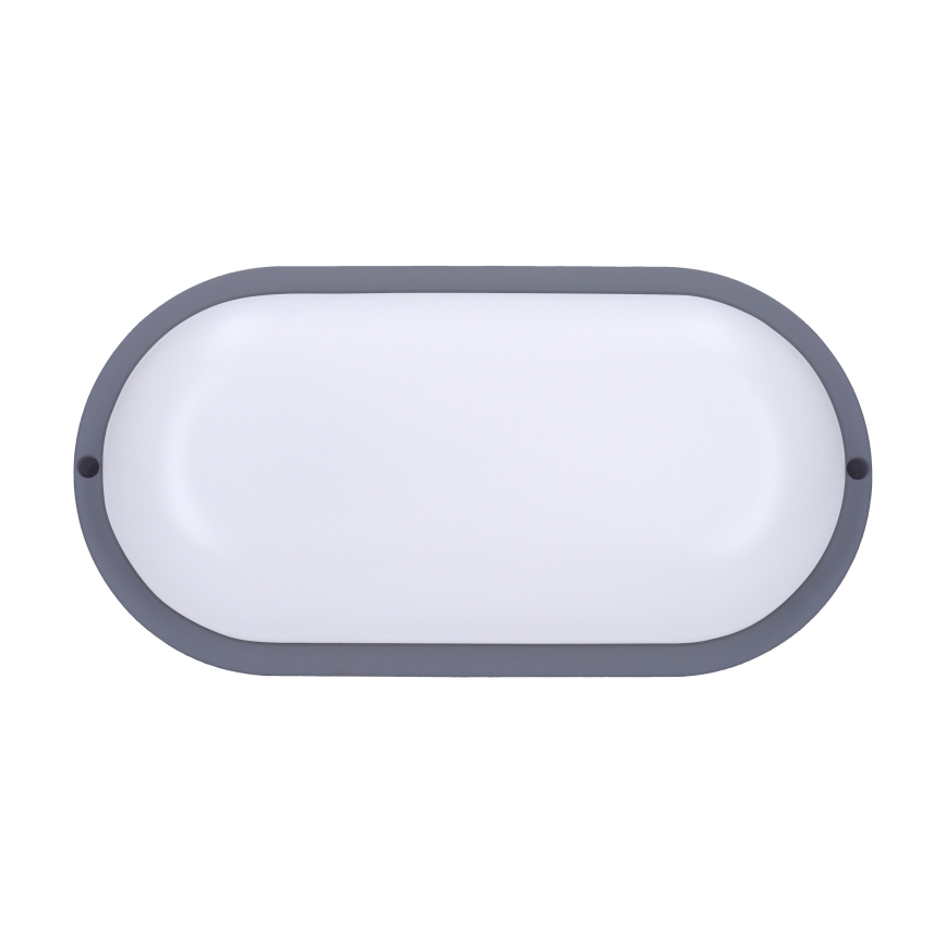 LED Zunanja stenska svetilka LED/20W/230V 4000K IP54 siva oval