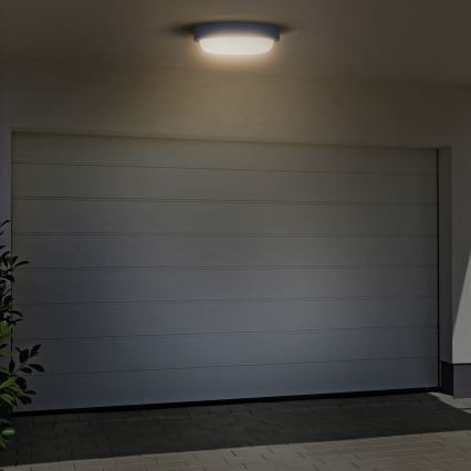 LED Zunanja stenska svetilka LED/20W/230V 4000K IP54 siva okrogla