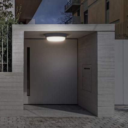 LED Zunanja stenska svetilka LED/20W/230V 4000K IP54 siva okrogla