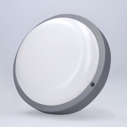 LED Zunanja stenska svetilka LED/20W/230V 4000K IP54 siva okrogla