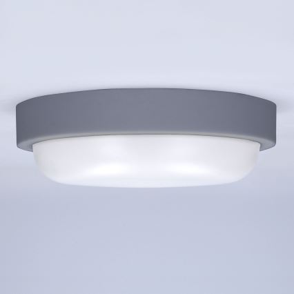 LED Zunanja stenska svetilka LED/20W/230V 4000K IP54 siva okrogla