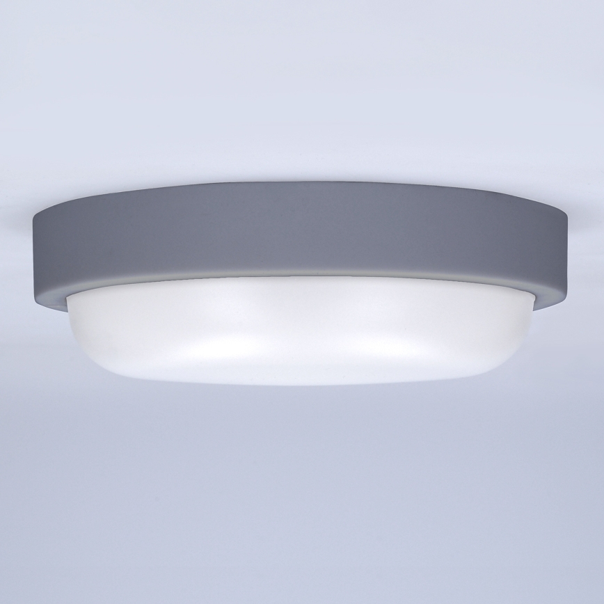 LED Zunanja stenska svetilka LED/20W/230V 4000K IP54 siva okrogla