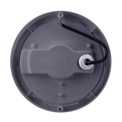 LED Zunanja stenska svetilka LED/20W/230V 4000K IP54 siva okrogla
