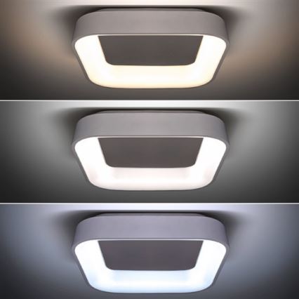 LED Zatemnitvena svetilka LED/48W/230V + daljinsko upravljanje