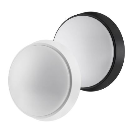 LED Zunanja svetilka 2v1 LED/12W/230V IP54