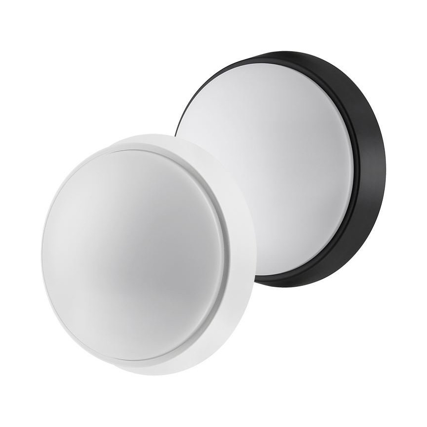 LED Zunanja svetilka 2v1 LED/12W/230V IP54