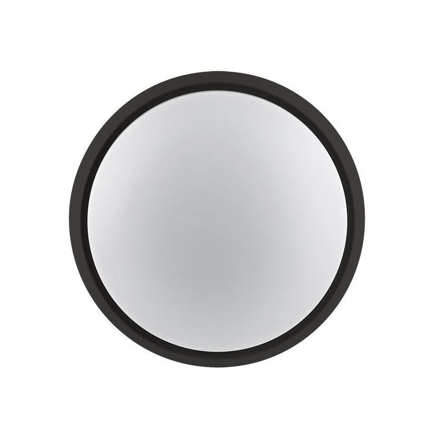 LED Zunanja svetilka 2v1 LED/12W/230V IP54