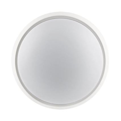 LED Zunanja svetilka 2v1 LED/12W/230V IP54
