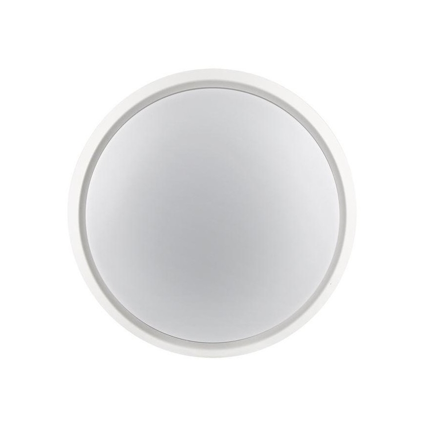 LED Zunanja svetilka 2v1 LED/12W/230V IP54