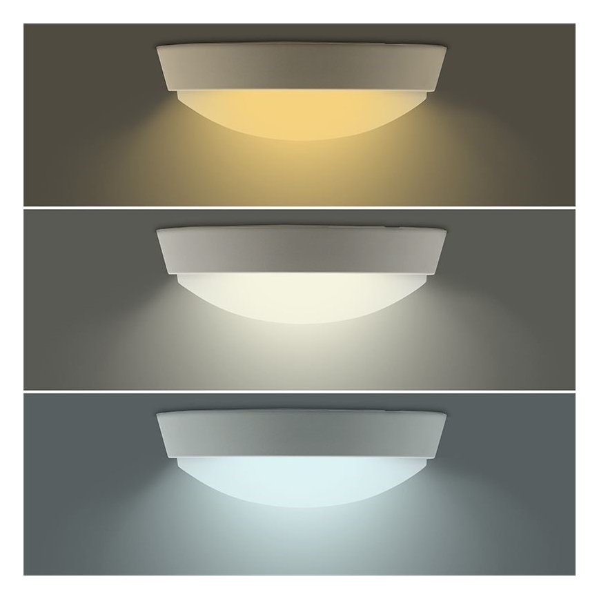 LED Zunanja svetilka 2v1 LED/12W/230V IP54